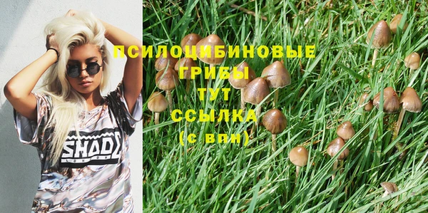 мяу мяу мука Гусь-Хрустальный