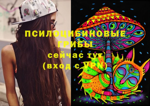 амф Гусиноозёрск