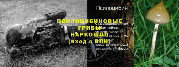 ALPHA PVP Гусев