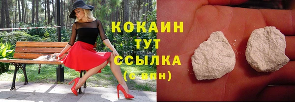 ALPHA PVP Гусев