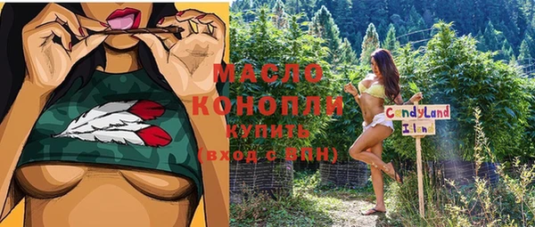 амф Гусиноозёрск
