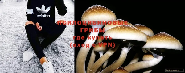 мяу мяу мука Гусь-Хрустальный