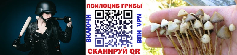 Галлюциногенные грибы Cubensis  Купить где  Талдом 